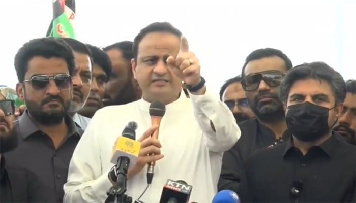 ویڈیو گریب۔