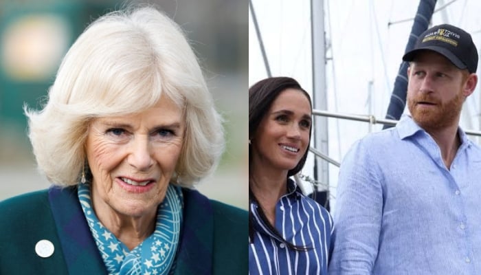 Queen Camilla sends key message in major outing as Harry, Meghan returned to UK