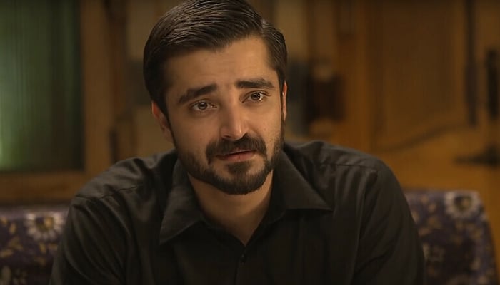 حمزہ علی عباسی---فائل فوٹو