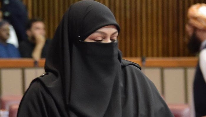 پمز آتشزدگی: عالیہ کامران نے وزیراعظم کی تشکیل کردہ کمیٹی پر تحفظات ظاہر کردیے