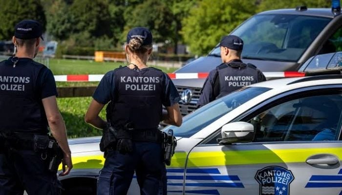 Man arrested after fatal shooting at Swiss rave leaves one dead
