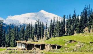 موسیٰ کا مصلیٰ چوٹی سے واپسی پر غیر ملکی سیاح لاپتہ