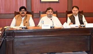سختی کرنے سے غیرقانونی بیرون ملک جانے والوں میں کمی ہوئی، ایف آئی اے حکام کی قائمہ کمیٹی کو بریفنگ