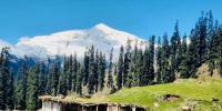موسیٰ کا مصلیٰ چوٹی سے واپسی پر غیر ملکی سیاح لاپتہ