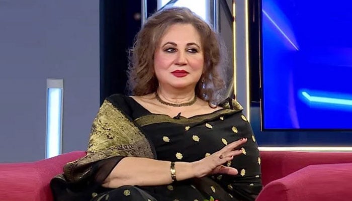 فریال گوہر---فائل فوٹو