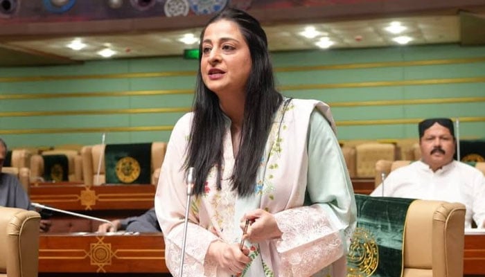 سندھ کی آئینی شناخت کسی انتظامی فائل تک محدود نہیں، ندا کھوڑو