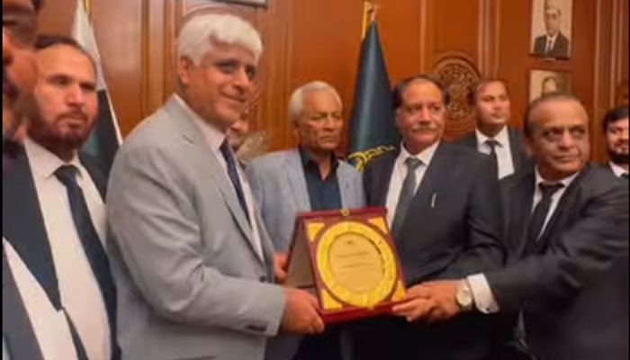ویڈیو گریب۔