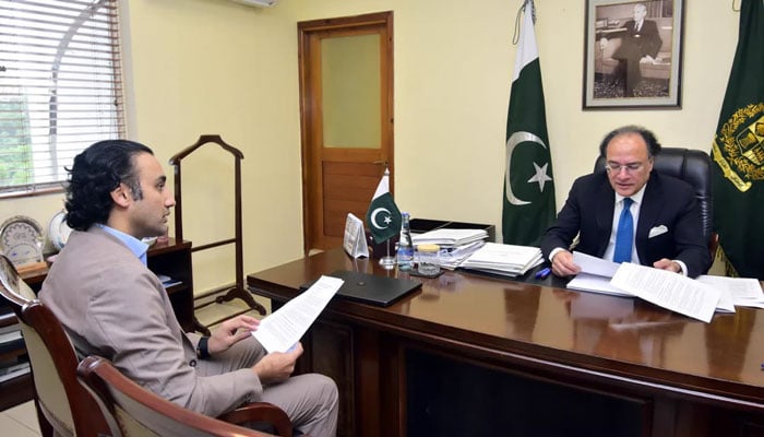 شفاف ڈیجیٹل اثاثے نظام کی ضرورت ہیں، وزیر خزانہ