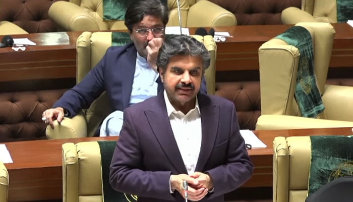 ناصر حسین شاہ - فوٹو: فائل