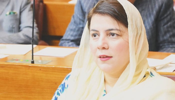 عدالتی فیصلوں پر عملدرآمد ہونا چاہیے، ناز بلوچ