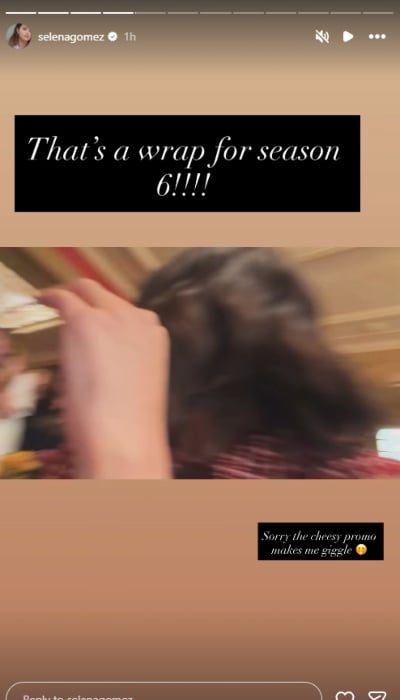 P.C. Selena Gomez/Instagram Stories