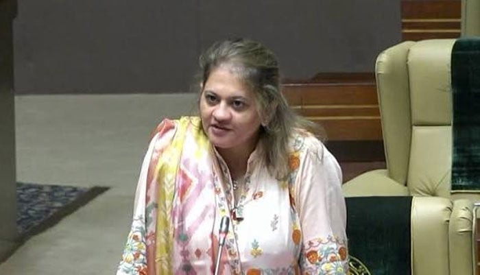 ملک میں بہت تجربے ہوئے، پاکستانی سندھ کی تقسیم نہیں چاہتے، سعدیہ جاوید
