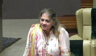 ملک میں بہت تجربے ہوئے، پاکستانی سندھ کی تقسیم نہیں چاہتے، سعدیہ جاوید