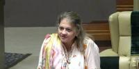ملک میں بہت تجربے ہوئے، پاکستانی سندھ کی تقسیم نہیں چاہتے، سعدیہ جاوید