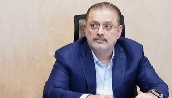 شرجیل انعام میمن— فائل فوٹو