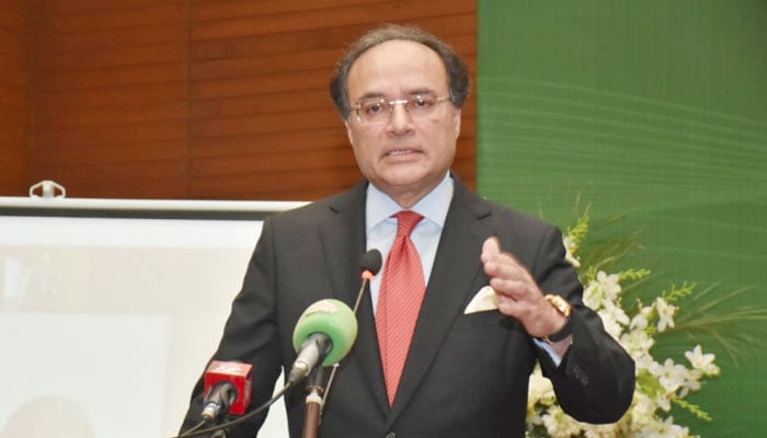 وفاقی وزیرِ خزانہ محمد اورنگزیب— فائل فوٹو