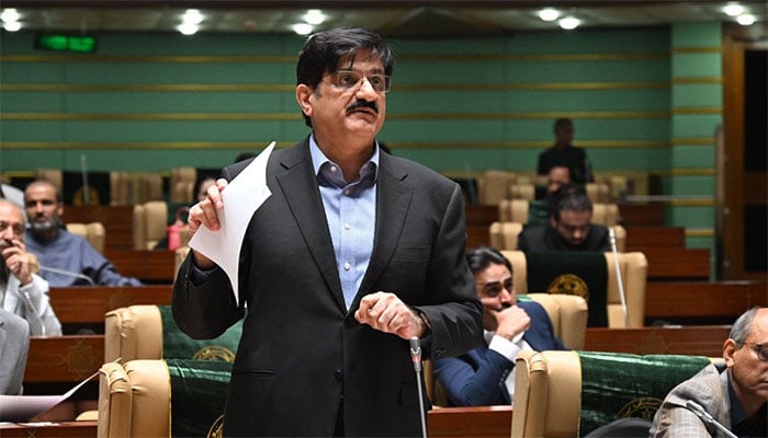 وزیر اعلیٰ سندھ  سید مراد علی شاہ : فائل فوٹو