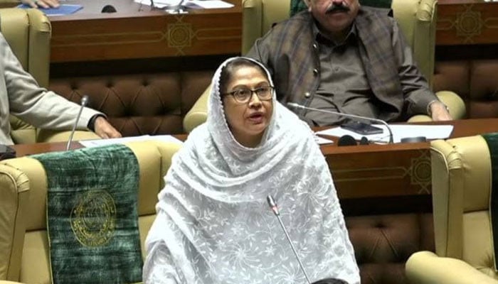 ہم سندھ کا بٹوارہ نہیں ہونے دیں گے: فریال تالپر ہم سندھ کا بٹوارہ نہیں ہونے دیں گے: فریال تالپر