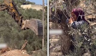اسرائیلی بلڈوزروں کے سامنے فلسطینی خاتون کا زیتون کے درخت سے لپٹنے کا دلخراش منظر