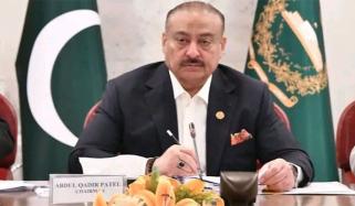 قائمہ کمیٹی داخلہ میں اسلام آباد بلدیاتی بل منظور، پیپلز پارٹی کی مخالفت