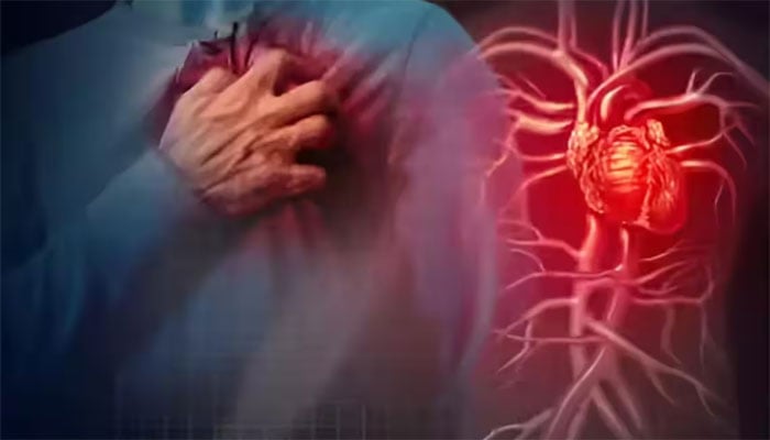 دل کی صحت کی ضمانت: نارمل بلڈ پریشر، کنٹرول کولیسٹرول و بلڈ شوگر