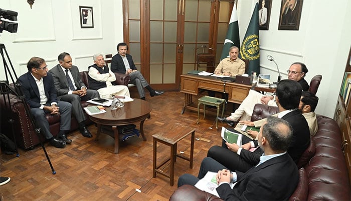 شہباز شریف نے کہا کہ ملک میں چھوٹے اور درمیانے درجے کے کاروباری اداروں کے فروغ کے لیے یہ انتہائی خوش آئند اقدام ہے۔ فوٹو: پی آئی ڈی