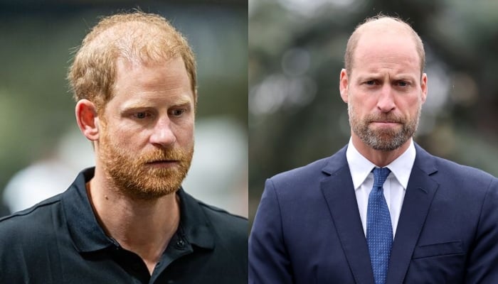 Prince Harry kicks off work on secret project in UK that could infuriate William