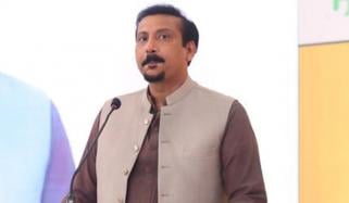 آئین سے روگردانی نہیں ہونی چاہیے، صوبے انتظامی یونٹس ہی ہیں، فیصل سبزواری