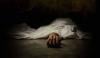 اسلام کوٹ: خاتون کی لاش ملنے کا واقعہ، سسرالیوں پر تشدد کر کے مارنے کا الزام