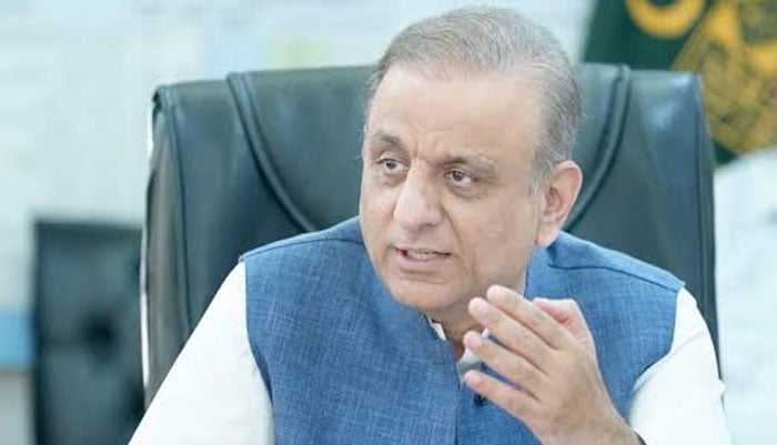 ملک سے محبت کرنے والا کوئی بھی فرد سسٹم سے خوش نہیں: علیم خان