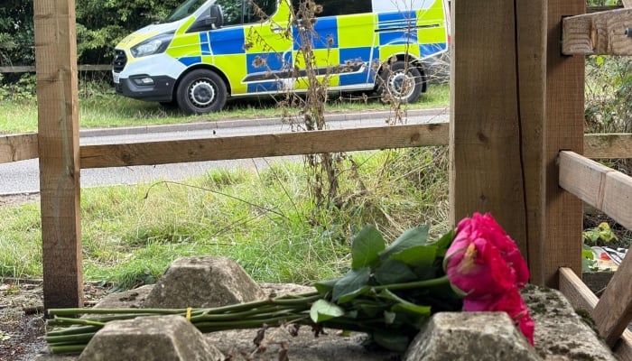 Cheslyn Hay incident