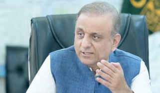 ملک سے محبت کرنے والا کوئی بھی فرد سسٹم سے خوش نہیں: علیم خان