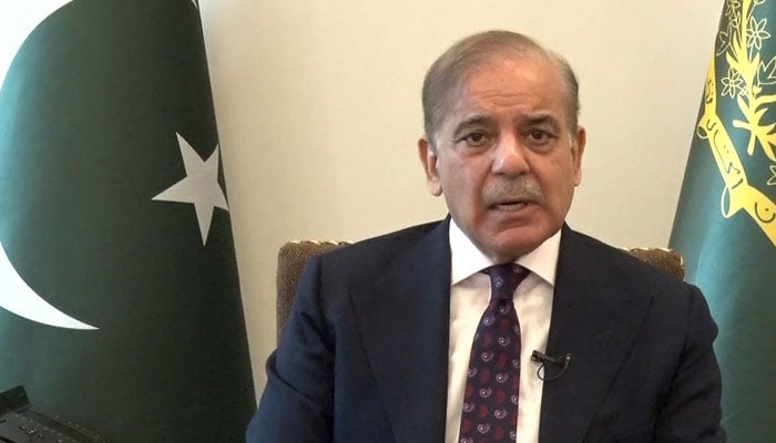 مئی 2025 میں پاک فضائیہ نے افواج کے ساتھ مثالی ہم آہنگی دکھائی، وزیراعظم