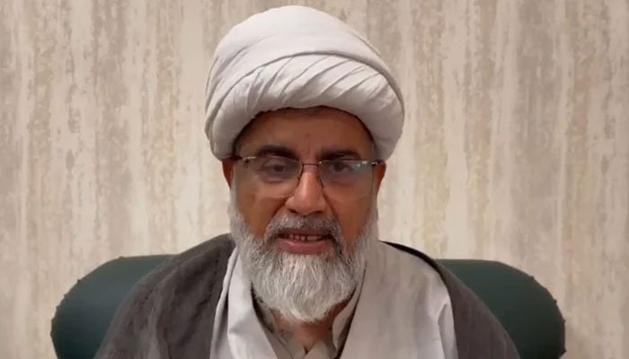 سینیٹر راجہ ناصر عباس(فائل فوٹو)۔