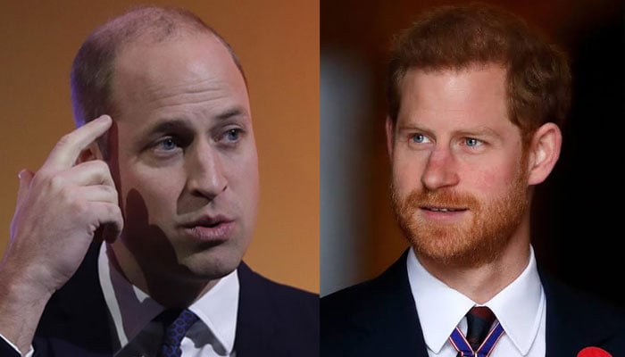 Prince William harshly ‘responds’ after Harry gathers Diana’s personal info