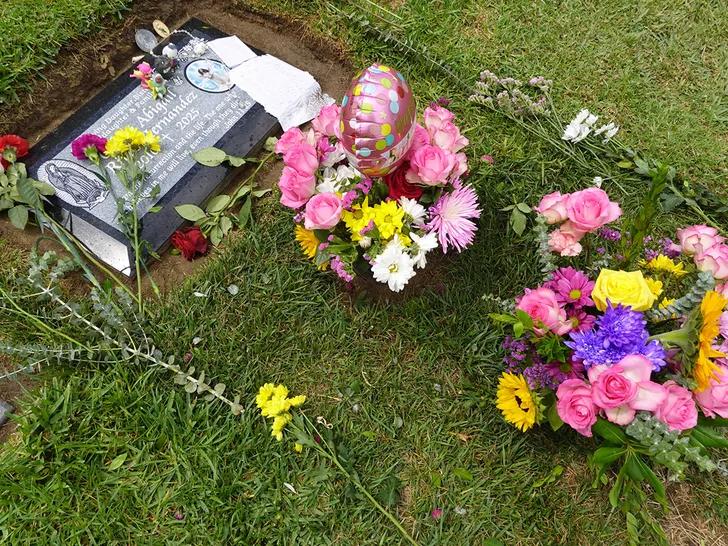 Celeste Rivas’ family makes emotional birthday tribute after D4vd death penalty request
