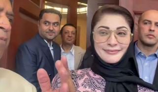 ہماری جماعت متحد ہے، کسی قسم کی کوئی تقسیم نہیں، مریم نواز