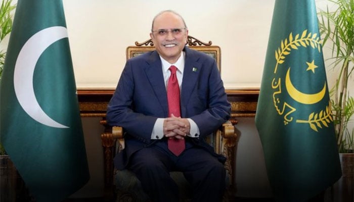 صدر مملکت  آصف علی زرداری : فائل فوٹو