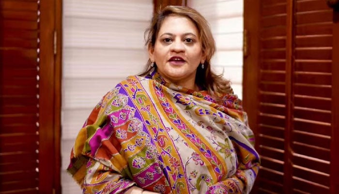 سندھ حکومت کی ترجمان سعدیہ جاوید—فائل فوٹو