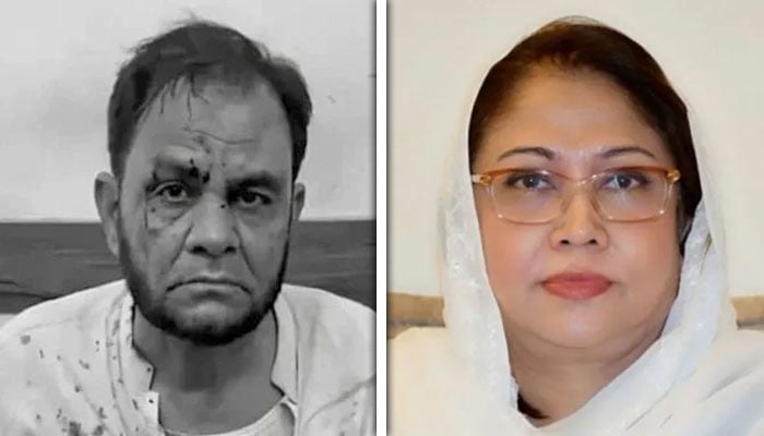 کولاج فوٹو: فائل