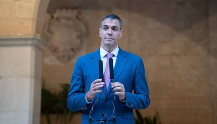 Spain Ceuta papers leak: Pedro Sanchez faces pressure over declassified files