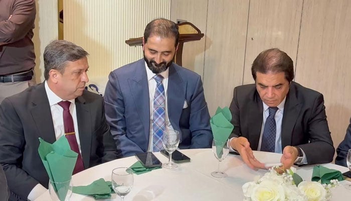 نئے صوبوں پر پیپلز پارٹی کے ساتھ مل کر کام کیا جائے گا، حنیف عباسی کا لندن میں خطاب
