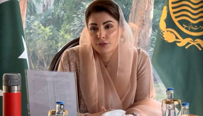 وزیراعلیٰ پنجاب مریم نواز---فائل فوٹو