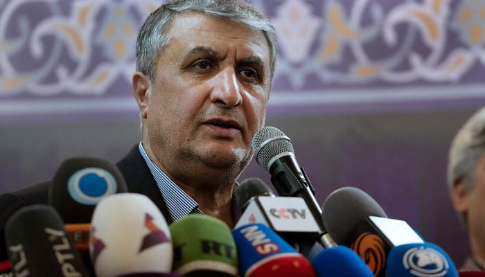 آسٹریا نے ایران کے محمد اسلامی کو ویانا آنے سے روک دیا