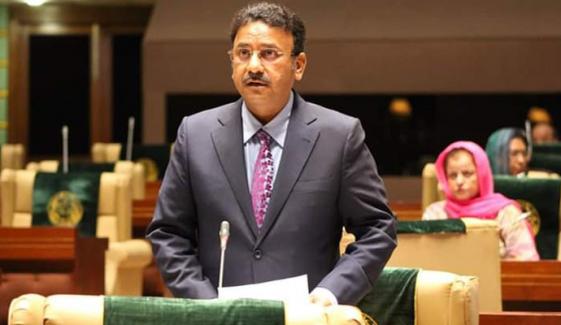 ضیاء لنجار کا ڈاکٹر سمیعہ کو دھمکیاں ملنے پر بیان پر ردعمل