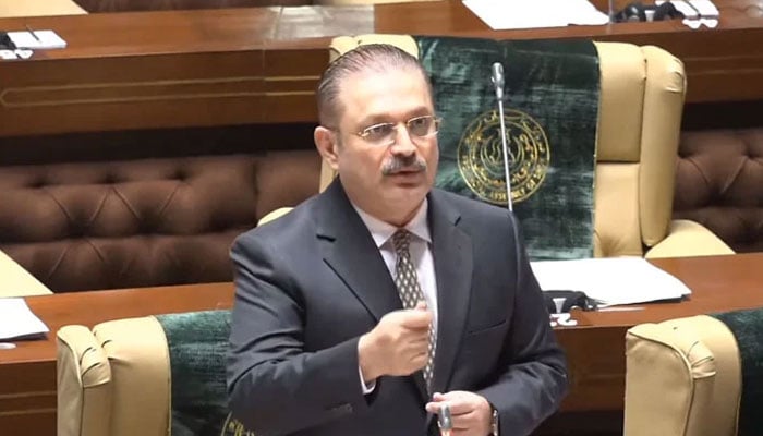 شرجیل میمن - فوٹو: فائل