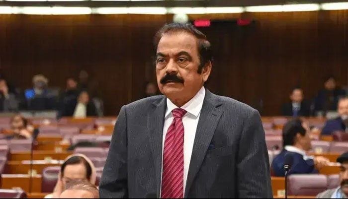 مریم نواز کے دفاع میں رانا ثناء اپنے ہی وفاقی وزیر کے سامنے کھڑے ہوگئے