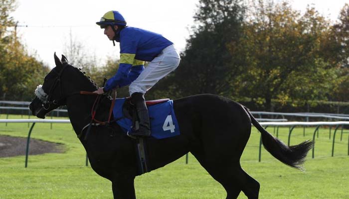 Paddy Donaghy: Former jockey dies at 39 after ‘one-punch assault’