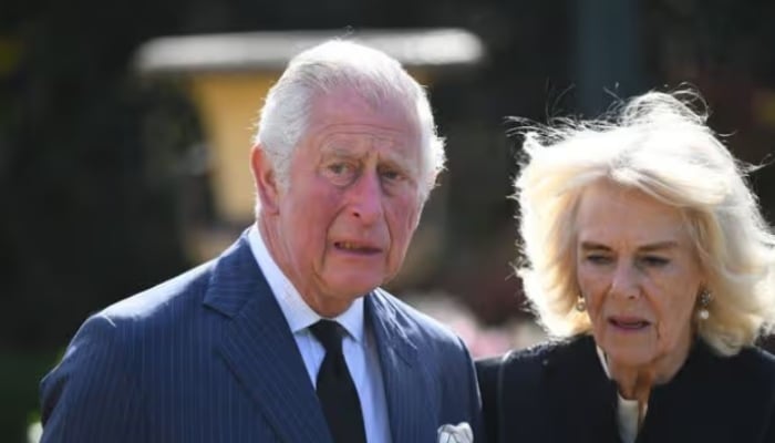 King Charles, Queen Camilla deeply ‘appalled’ by ‘terrible destruction’ due to wildfires