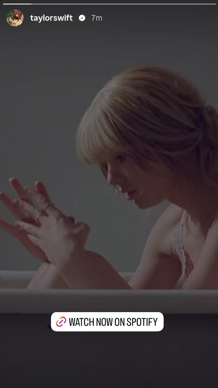 Taylor Swift/ Instagram